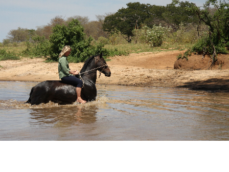 Ride Zimbabwe Hwange Safari 